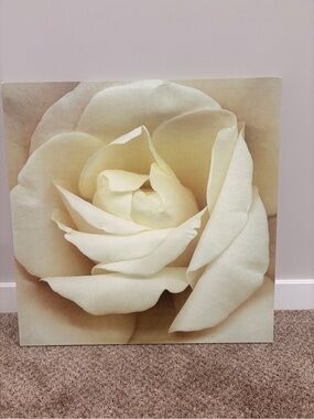 Serene Cream Rose Wall Art Canvas
